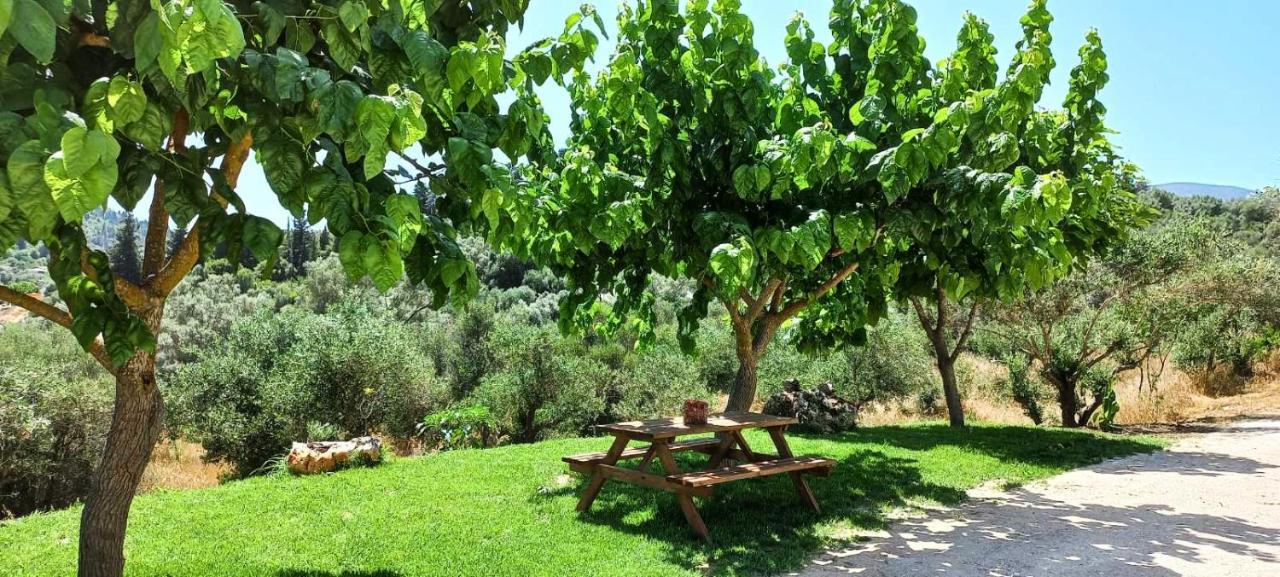 Lily Home_Lefkada ~ Private Country House Kondaraina Exterior foto