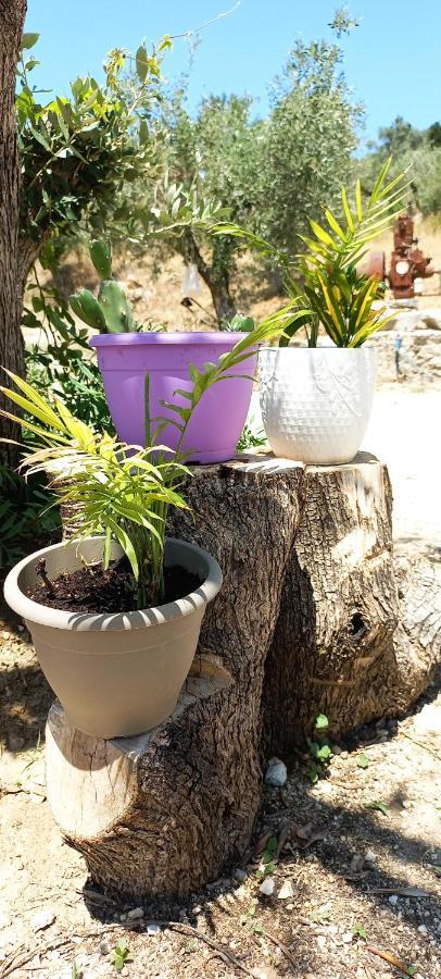 Lily Home_Lefkada ~ Private Country House Kondaraina Exterior foto