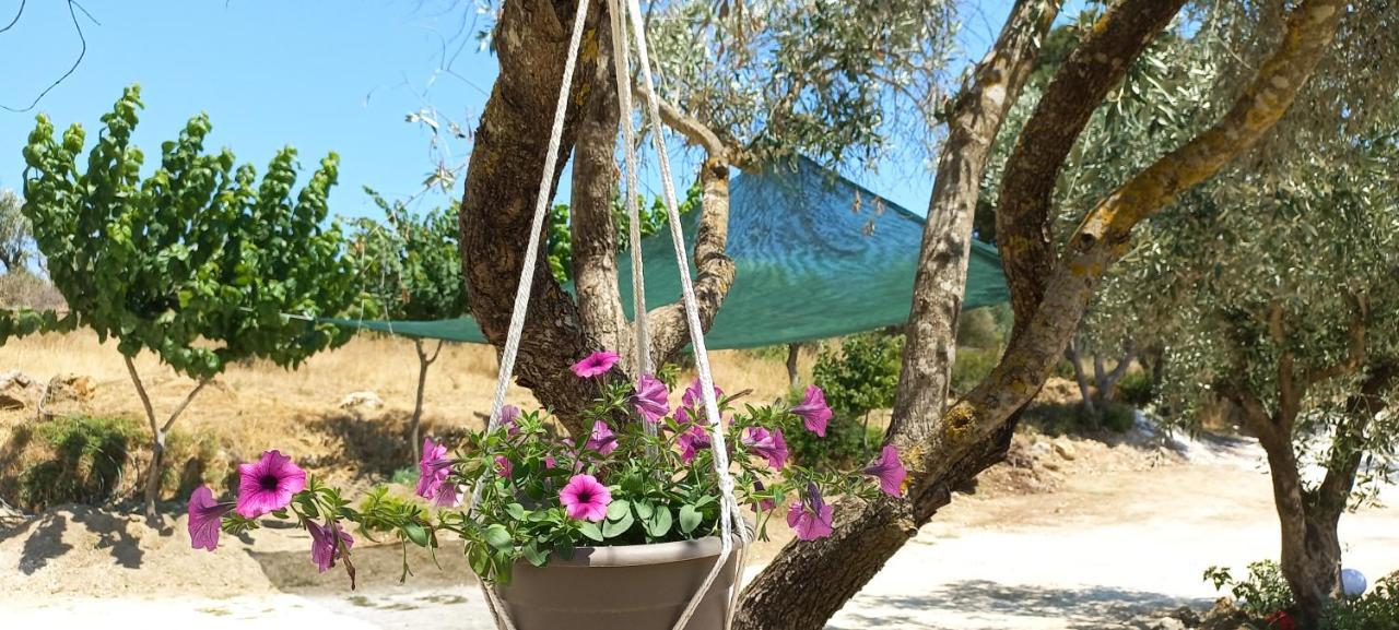 Lily Home_Lefkada ~ Private Country House Kondaraina Exterior foto