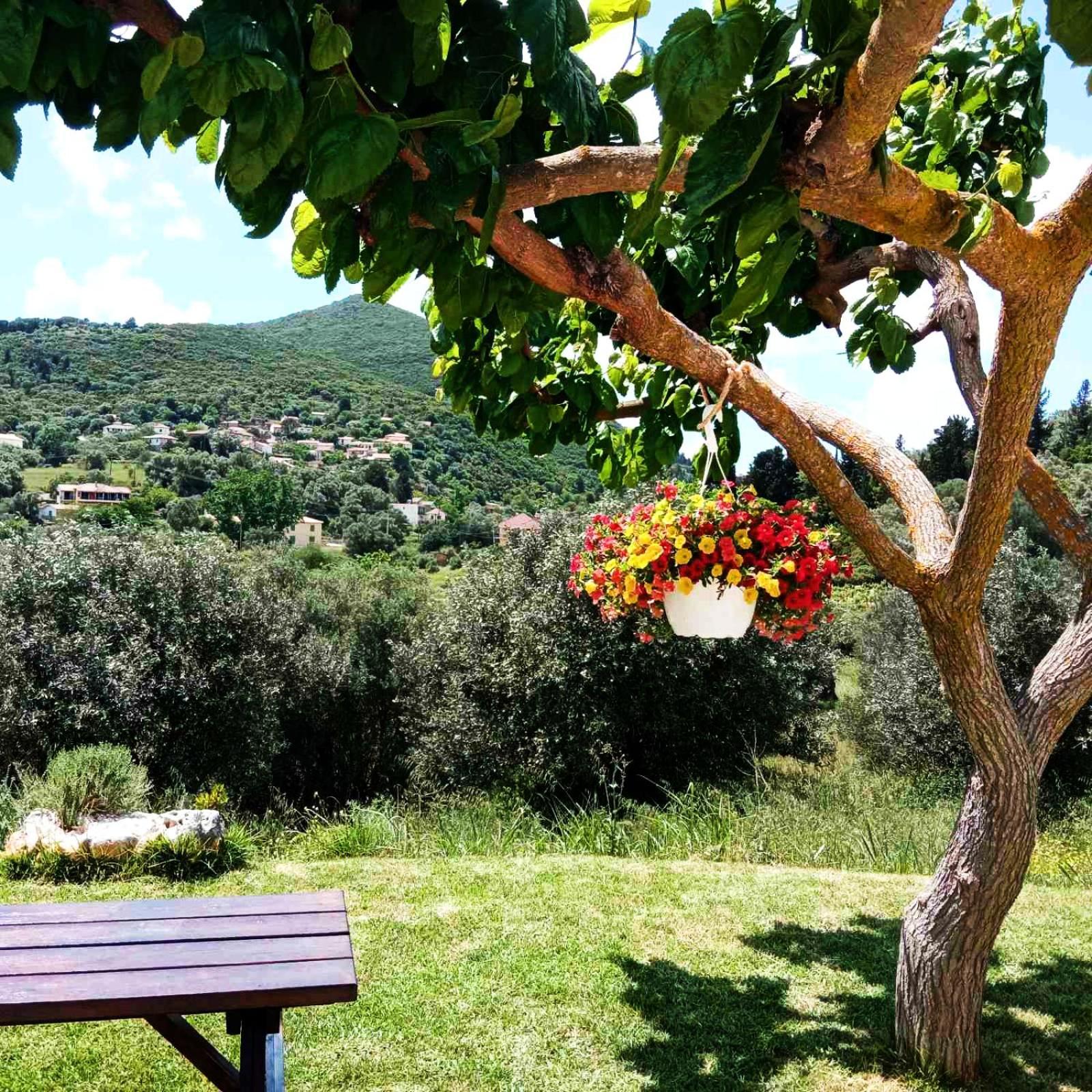 Lily Home_Lefkada ~ Private Country House Kondaraina Exterior foto